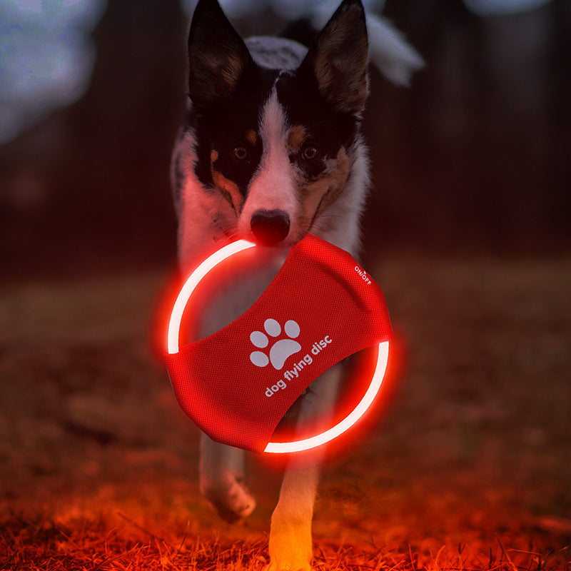 LED Light-Up Dog Frisbee - Rechargeable Glow Toy