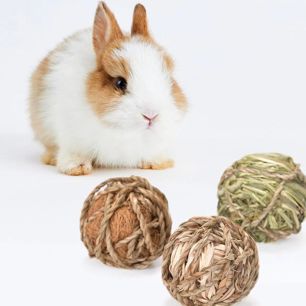 Hand-Woven Timothy Grass Chew Ball for Small Pets