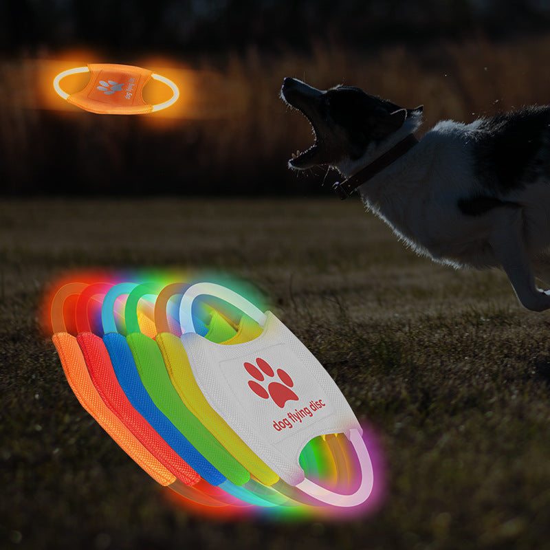LED Light-Up Dog Frisbee - Rechargeable Glow Toy