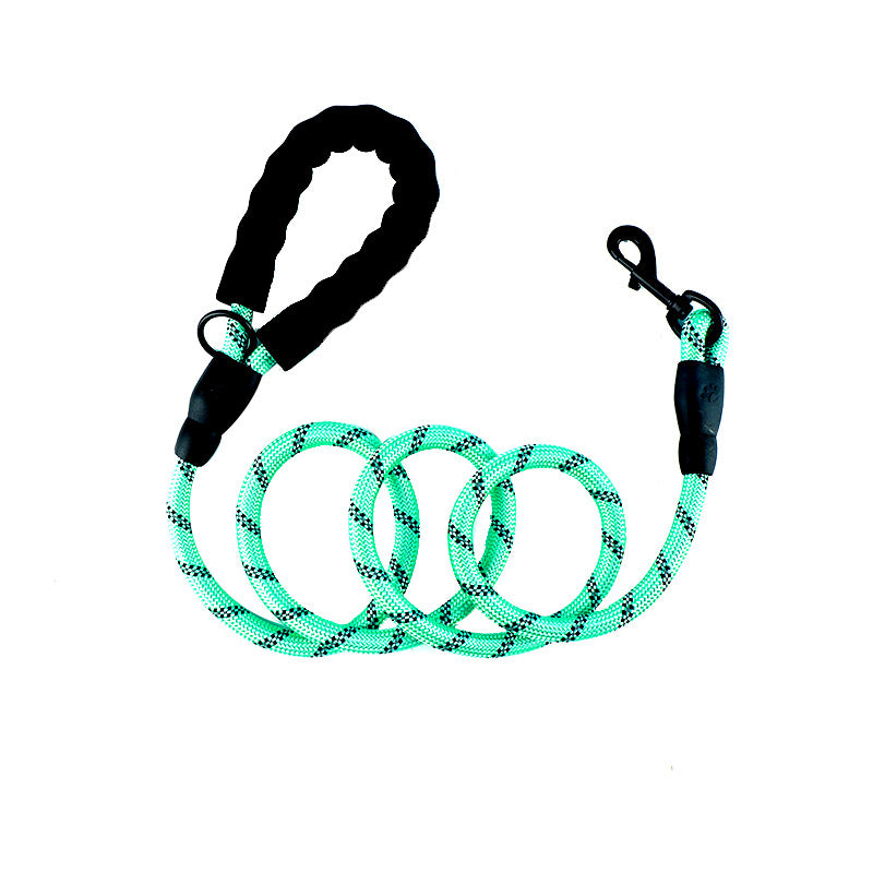 Reflective Nylon Dog Leash - Night-Safe & Comfortable