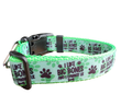 "I Like Big Bones" Neon Green Dog Collar & Leash